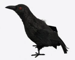 Kraai Zwart 20cm