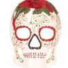 Day Of The Dead Masker Man Bloem