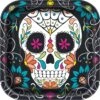 Plates - Skull Day Of The Dead