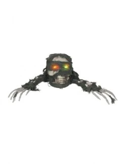 Schedel Met Handen En Licht