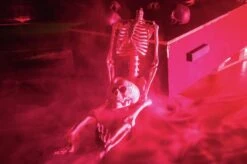 Skull, Black -Halloween Fun Verkoopwinkel 83314218d