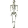 Halloween Skeleton, 150 Cm
