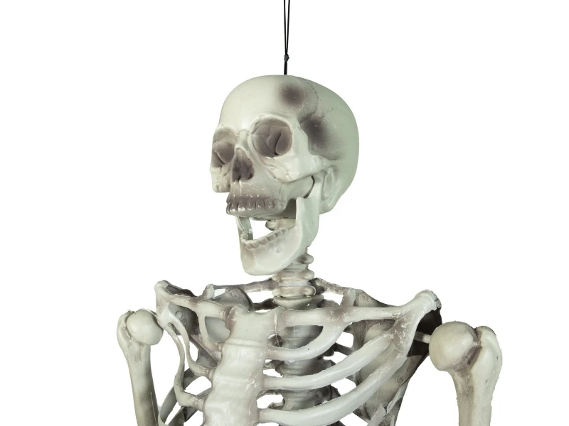 Halloween Skeleton, 150 Cm 2 Halloween Skeleton, 150 Cm - Afbeelding 2