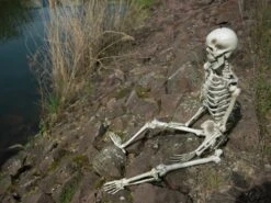 Halloween Skeleton, 150 Cm 6 Halloween Skeleton, 150 Cm -Halloween Fun Verkoopwinkel 83314595d