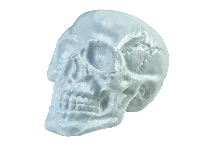 Halloween Skull, 31x22x22cm 3 Halloween Skull, 31x22x22cm - Afbeelding 3