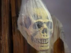 Halloween Figure Skull In Spider Web -Halloween Fun Verkoopwinkel 83316072c