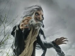 Halloween Witch, Nahema, 160cm -Halloween Fun Verkoopwinkel 83316105e