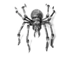 Monsterspider Ca.130cm